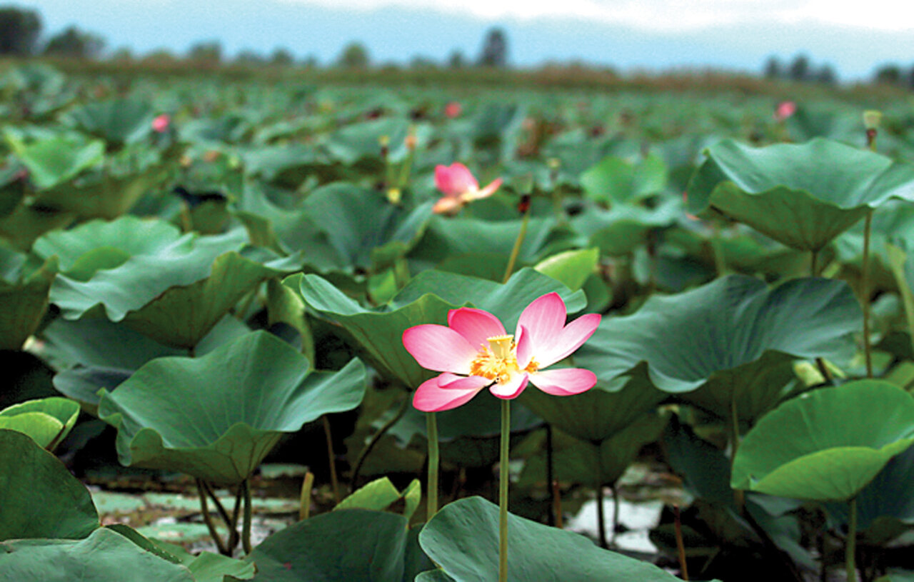 اگر دلتنگ باران هستید به این شهر سفر کنید
