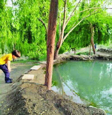 چشمههای غرب پایتخت از میان کوهها سربرآورده|جدا شد یکی چشمه از کوهسار