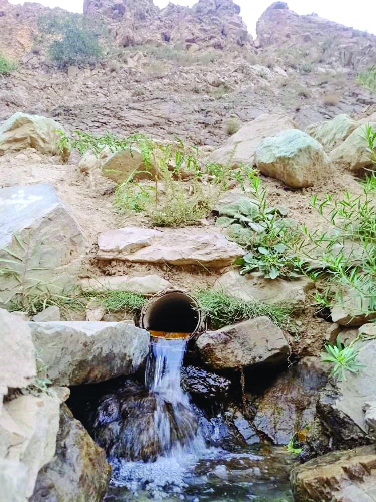 چشمههای غرب پایتخت از میان کوهها سربرآورده|جدا شد یکی چشمه از کوهسار