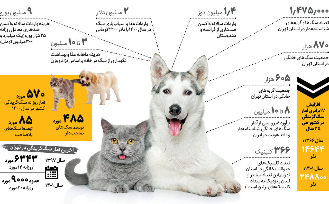 اینفوگرافیک | هزینه چند هزار میلیاردی تهرانی‌ها برای دو حیوان خانگی | هر ۱۰ تهرانی یک سگ خانگی دارد |