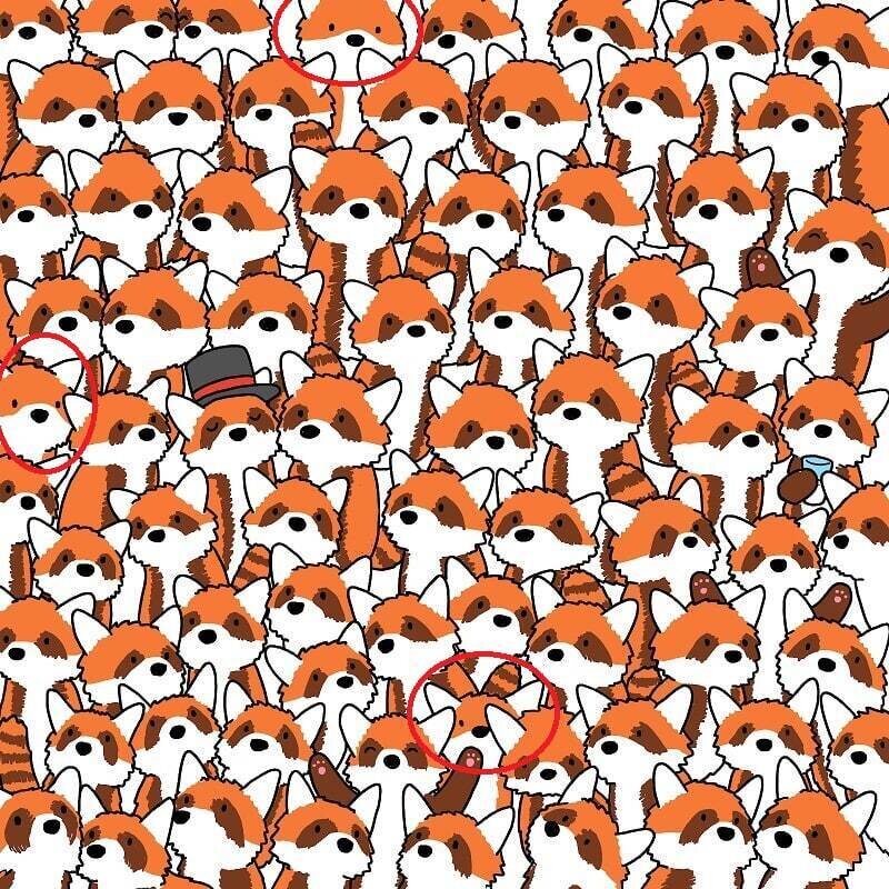 ۳ روباه پنهان را در کمتر از ۱۰ ثانیه پیدا کنید