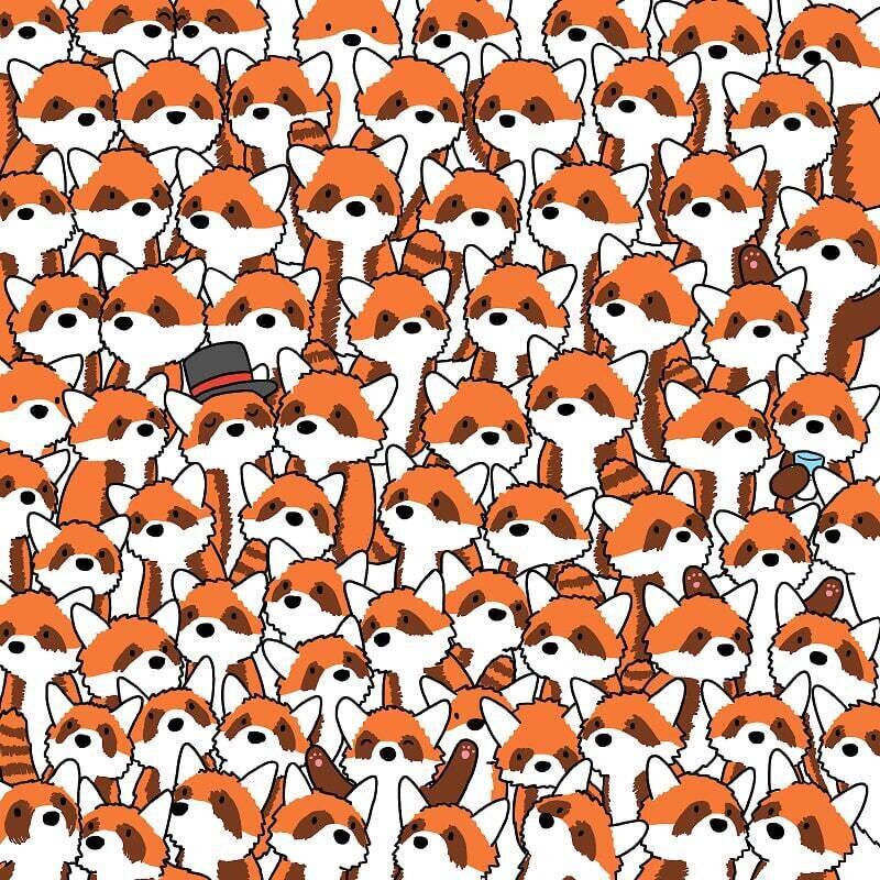 ۳ روباه پنهان را در کمتر از ۱۰ ثانیه پیدا کنید