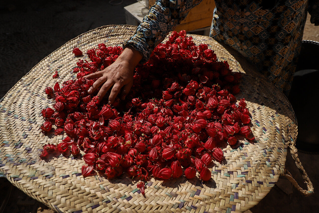 این چای کم کالری برای کاهش فشار خون معجزه می کند