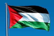 عکس | اقدام جالب صدا و سیما در پخش زنده | پرچم فلسطین میان قاب شبکه سه
