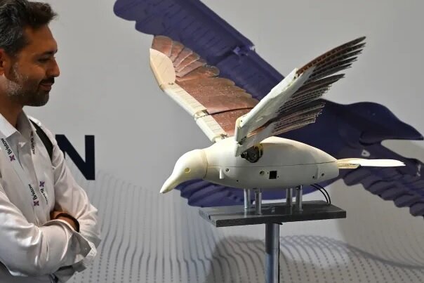 پهپادهایی درست شبیه پرندگان واقعی! | میتوانند کاربرد جاسوسی داشته باشند