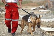 ببینید |  سگ‌های زنده‌یاب ایران در ویرانی‌های افغانستان