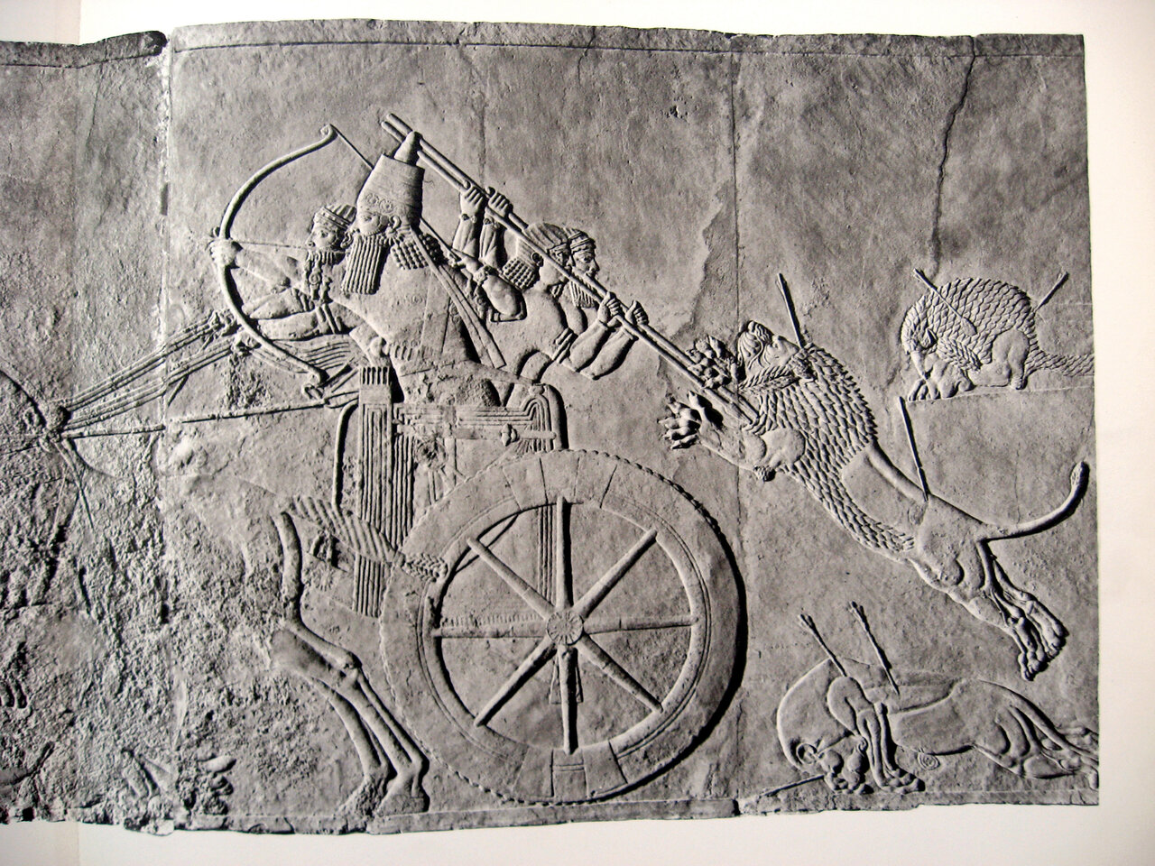 آیا ایرانیان آریایی هستند؟