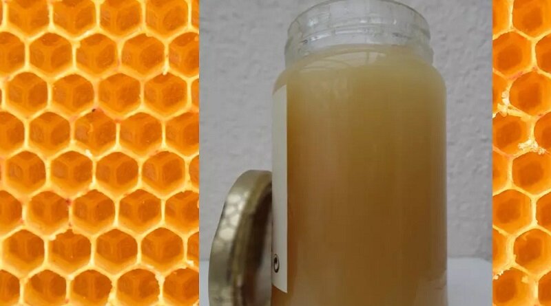 راههای تشخیص عسل اصل از تقلبی ؛ از تست عسل طبیعی با آب سرد تا تشخیص عسل طبیعی با کبریت | عسل اصل چه رنگی است ؟