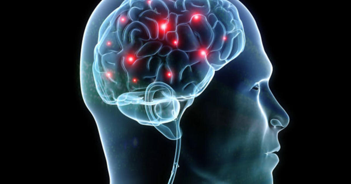 تفاوت مغز دروازهبانها با دیگران | اولین شواهد علمی از عملکرد متفاوت مغز گلرها