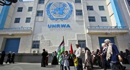 سازمان ملل در غزه