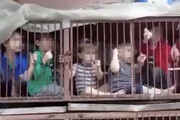 تلویزیون فرانسه افشا کرد ؛ ویدئوی نگهداری کودکان اسرائیلی در قفس فیک است!