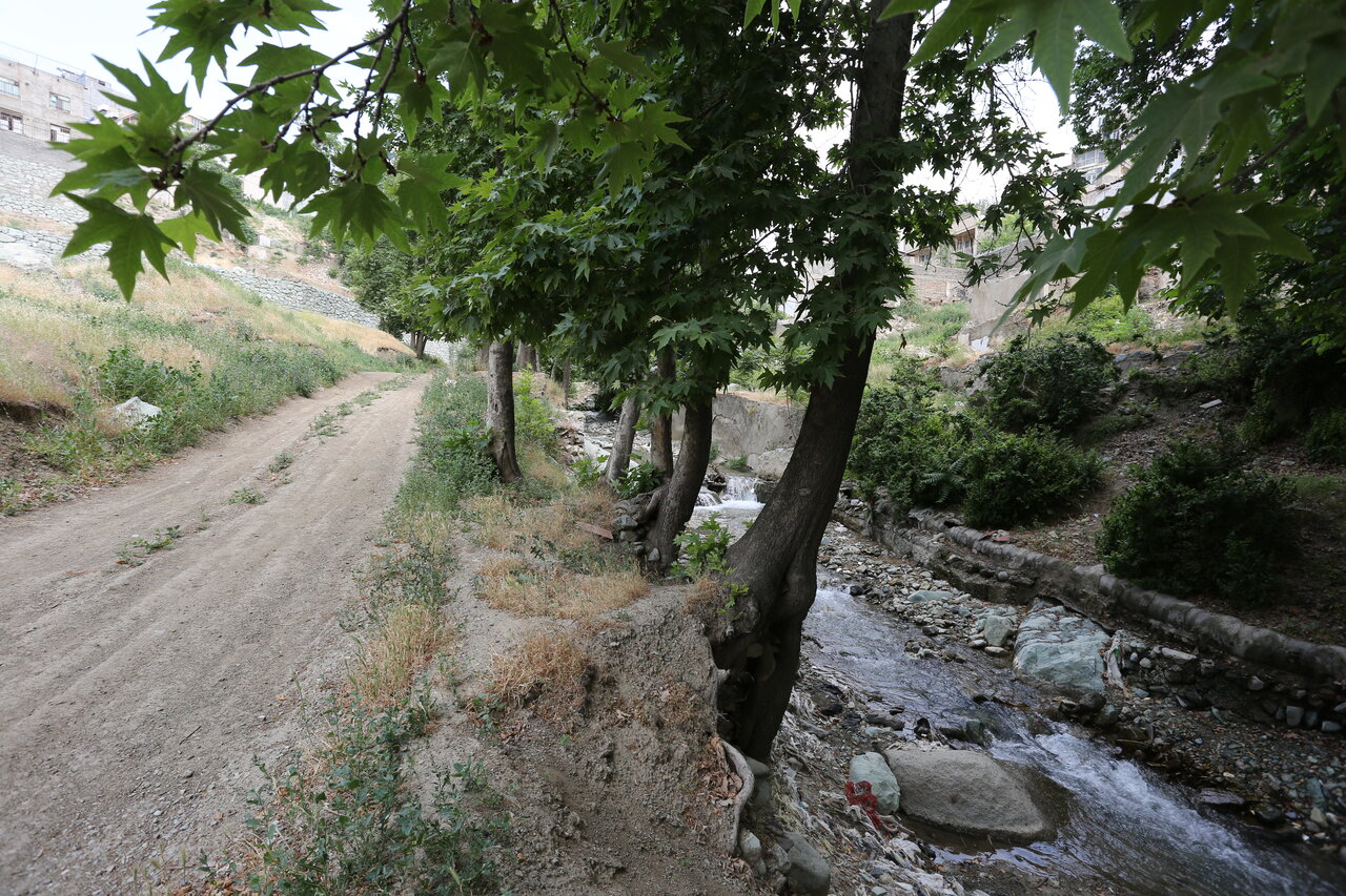 این درهها بوستان شدهاند| فرحزاد تا زرنو در دوقدمی