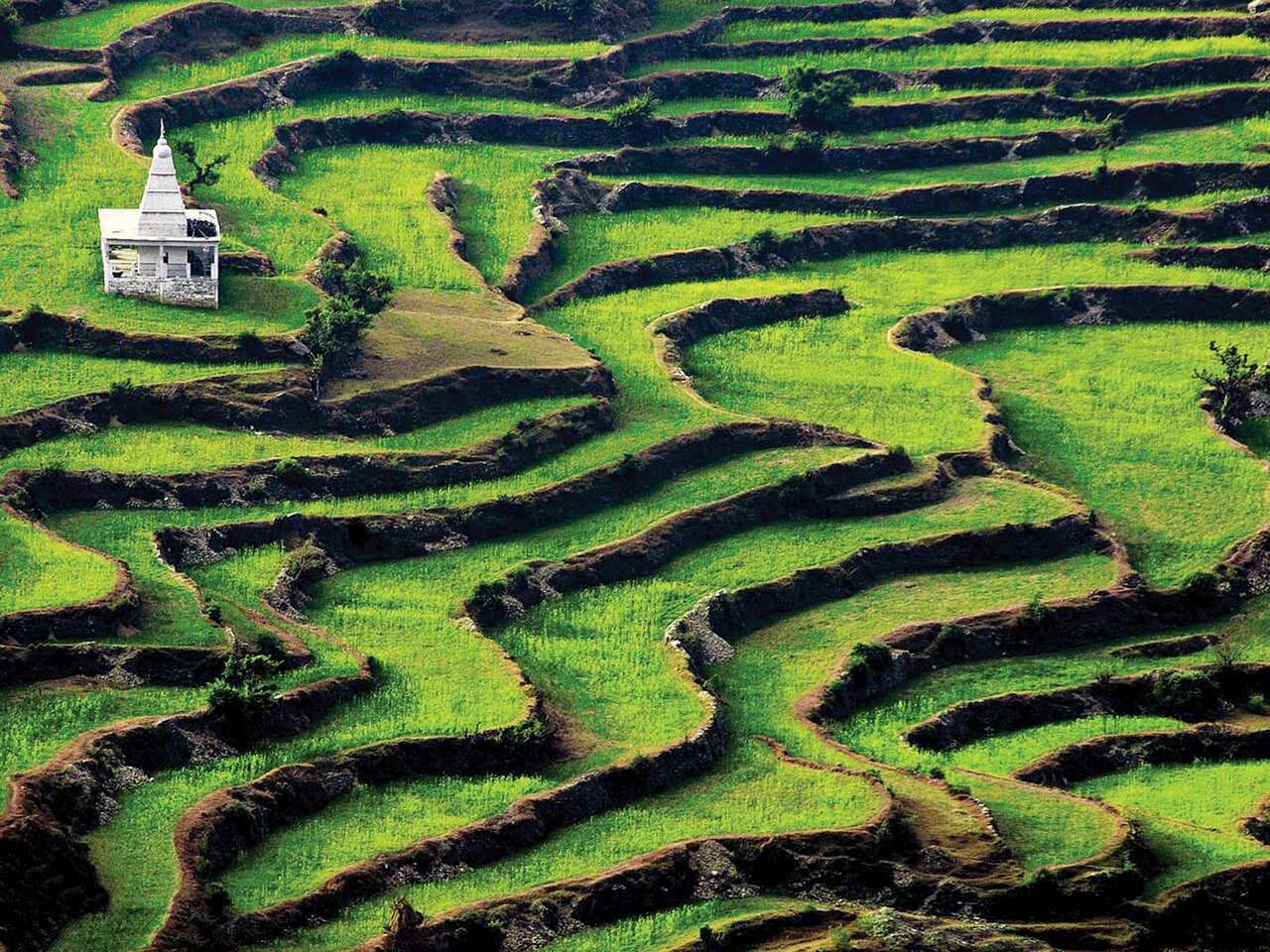 زیباترین عکسها را با این روش بگیرید