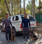 فیلم جستجوی سگ‌های پلیس در نزدیکی خانه مهرجویی