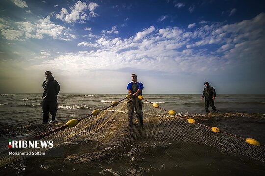 فصل صید ماهی در مازندران