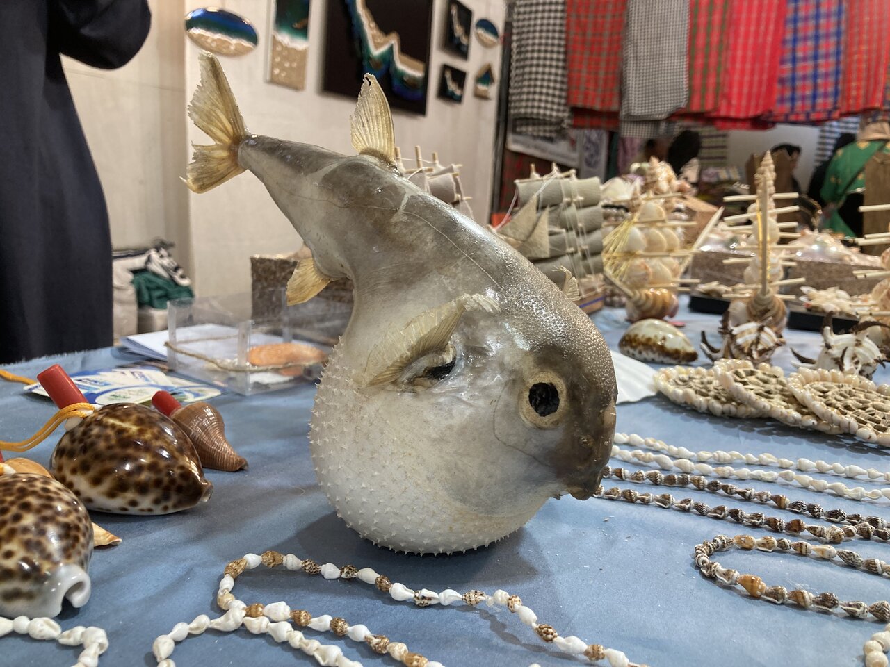 این زنان چرخ اقتصاد روستا را می چرخانند|10 میلیون زن نفر از زنان کشور در روستاها هستند