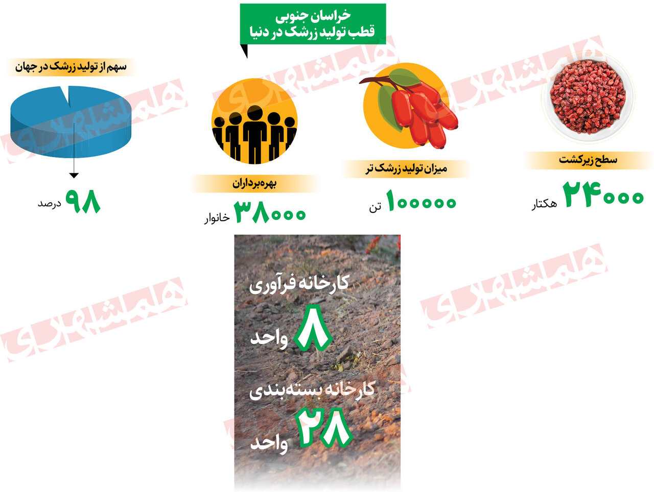 پایتخت زرشک جهان اینجاست