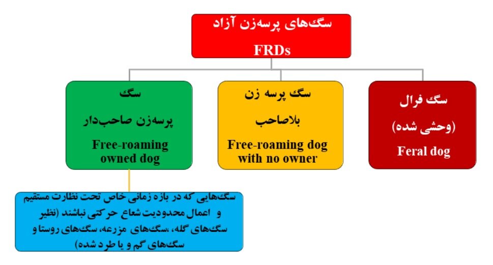 تعیین تکلیف سگ های ولگرد و بدون صاحب | تصویب بودجه برای ساماندهی سگ ها