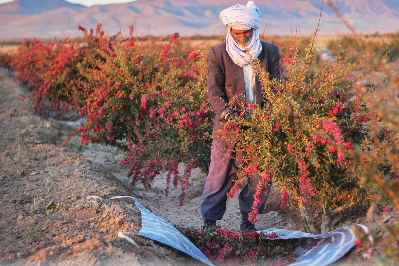 ۷ مقصد پاییزی شگفتانگیز ایران که حالوهوای سفرتان را عوض میکنند