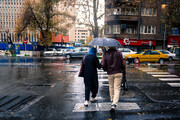 آماده باش عوامل خدمات شهری پایتخت به دلیل بارش باران | اطراق در بوستان نهج البلاغه و جوانمردان ممنوع شد