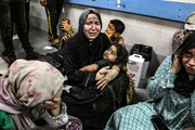 احسان علیخانی خواستار توقف نسل‌کشی در غزه شد | فرزاد حسنی: اسرائیل شر مطلق است