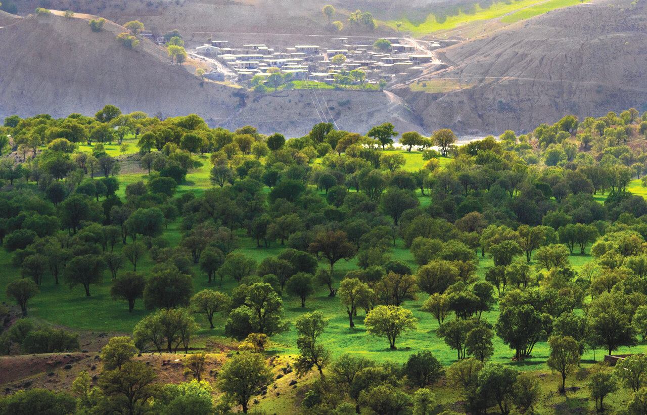 سطح پوشش گیاهی این منطقه از ایران برابر با ۴۵ کشور جهان است