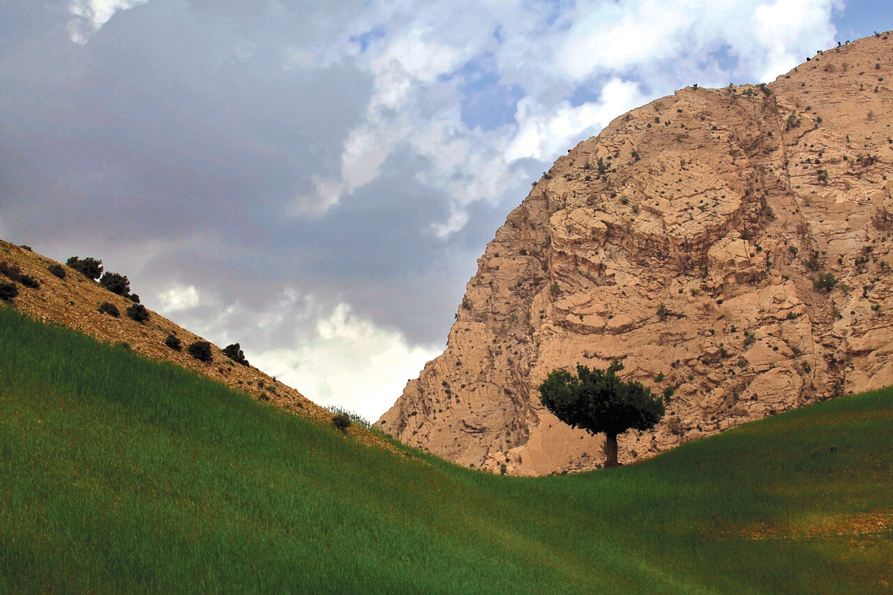 سطح پوشش گیاهی این منطقه از ایران برابر با ۴۵ کشور جهان است