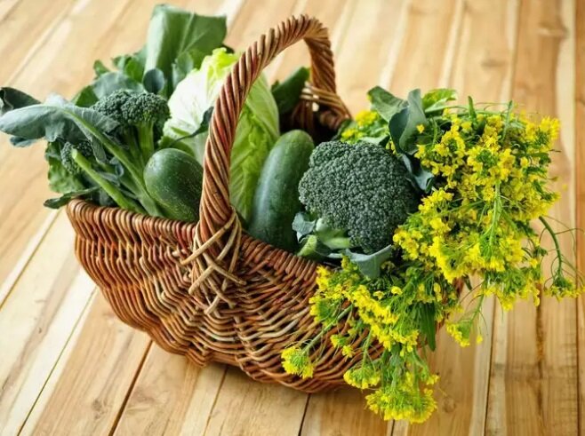 برای تقویت روده ها چه بخوریم ؟ | افزایش سلامت روده ها با این ۳ ماده غذایی