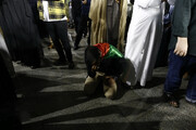 تصاویر |  قم کفن پوش شد | اجتماع شبانه قمی‌ها در حمایت از مظلومان فلسطینی