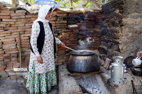 برداشت انار در روستای انبوه