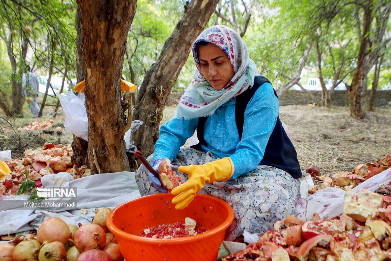 این افراد انار ترش نخورند | خواص آب انار شیرین در طب سنتی | طبع انار شیرین و انار ترش