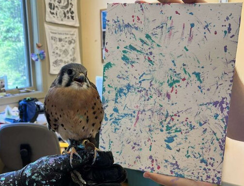 پرنده نقاشی