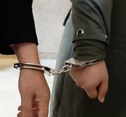 خانم توهین‌کننده به مقدسات بازداشت شد