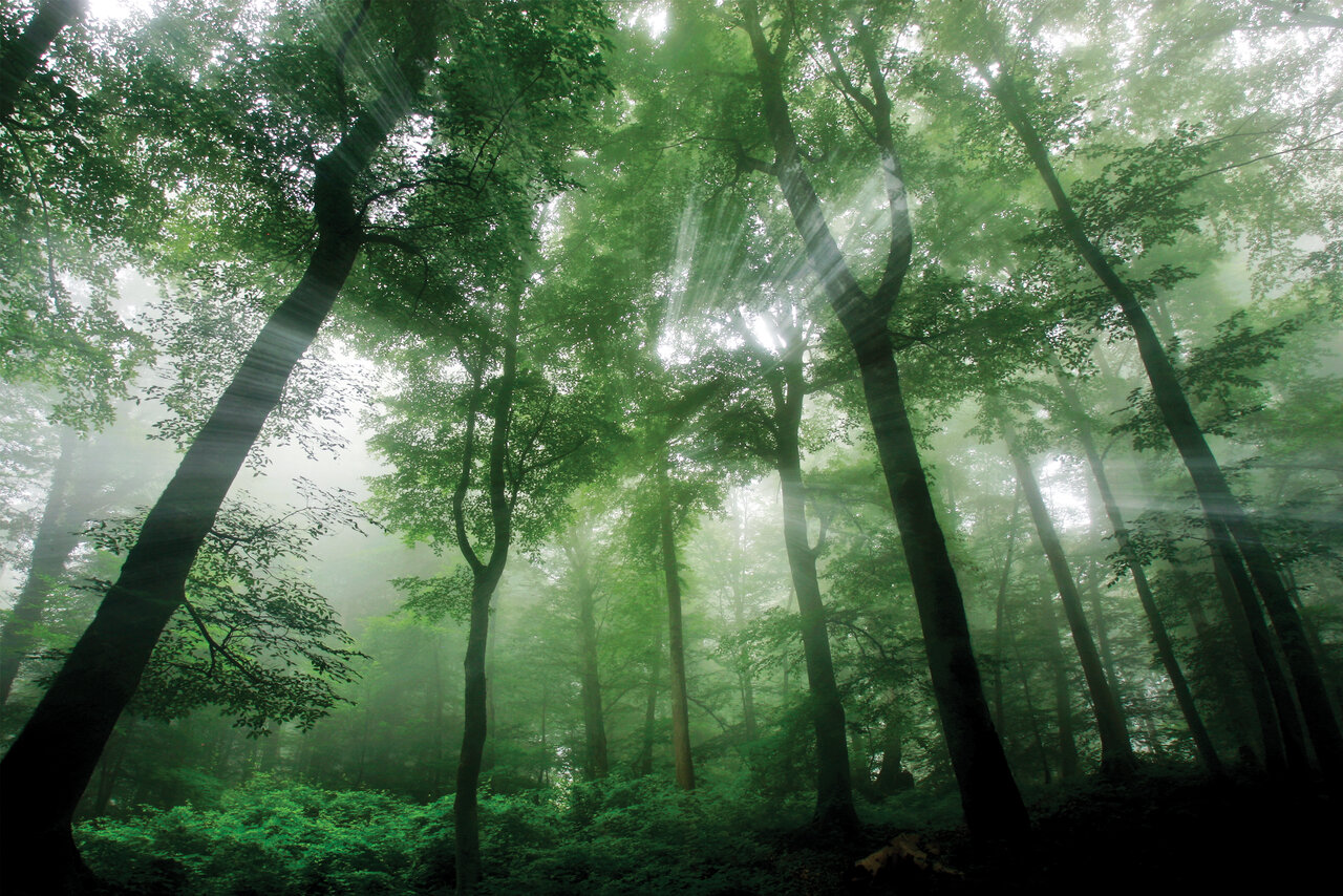 در ایران اسطورهگردی کنید