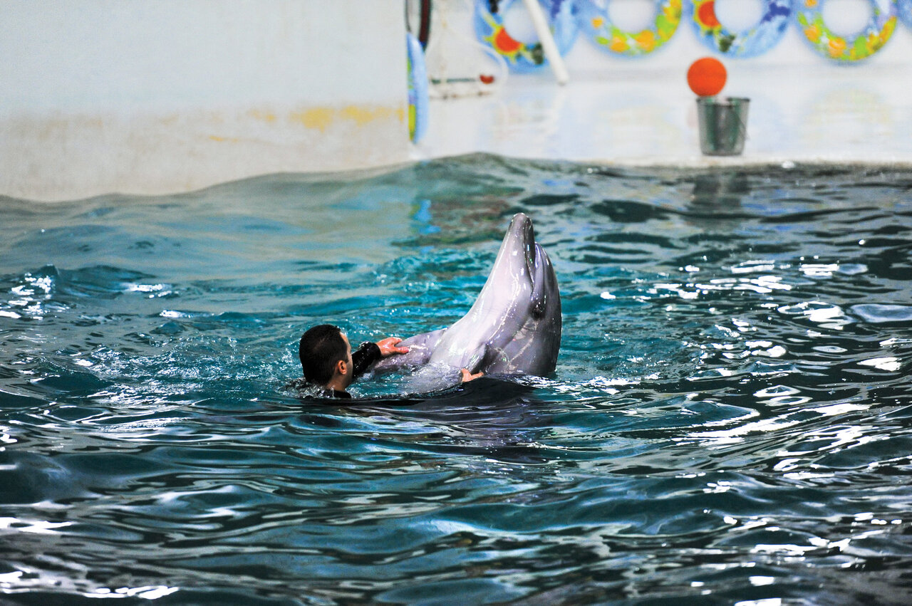 این منطقه از ایران زیستگاه باهوشترین جانور جهان است