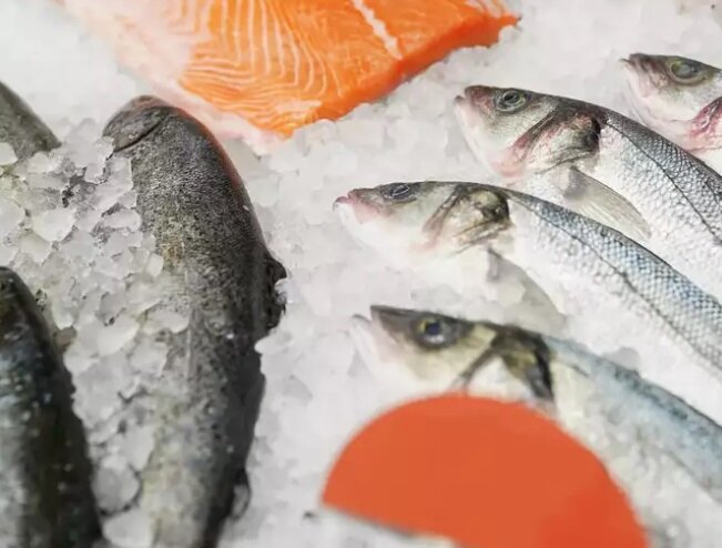ترفندهایی برای تازه نگه داشتن غذاهای دریایی منجمد | بهترین روش یخ زدایی ماهی بدون تغییر مزه و کیفیت آن