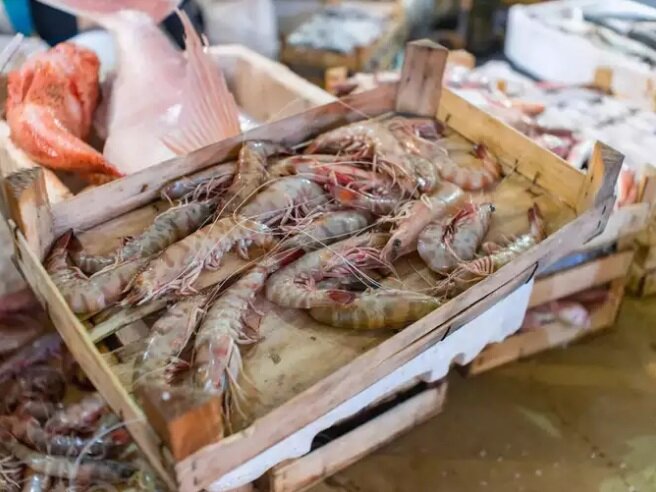 ترفندهایی برای تازه نگه داشتن غذاهای دریایی منجمد | بهترین روش یخ زدایی ماهی بدون تغییر مزه و کیفیت آن