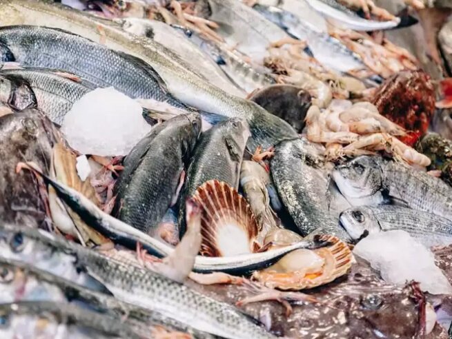 ترفندهایی برای تازه نگه داشتن غذاهای دریایی منجمد | بهترین روش یخ زدایی ماهی بدون تغییر مزه و کیفیت آن