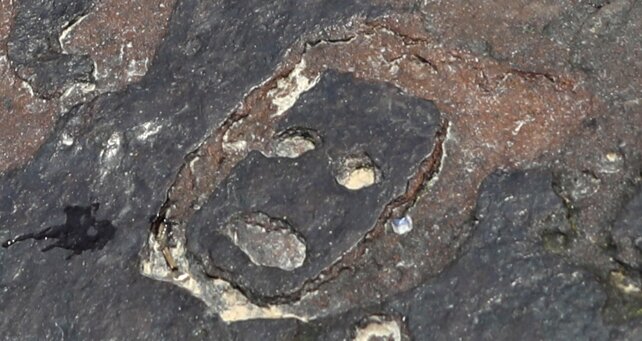 تصاویر | خشکسالی فرهنگ ۲۰۰۰ سال قبل را آشکار کرد