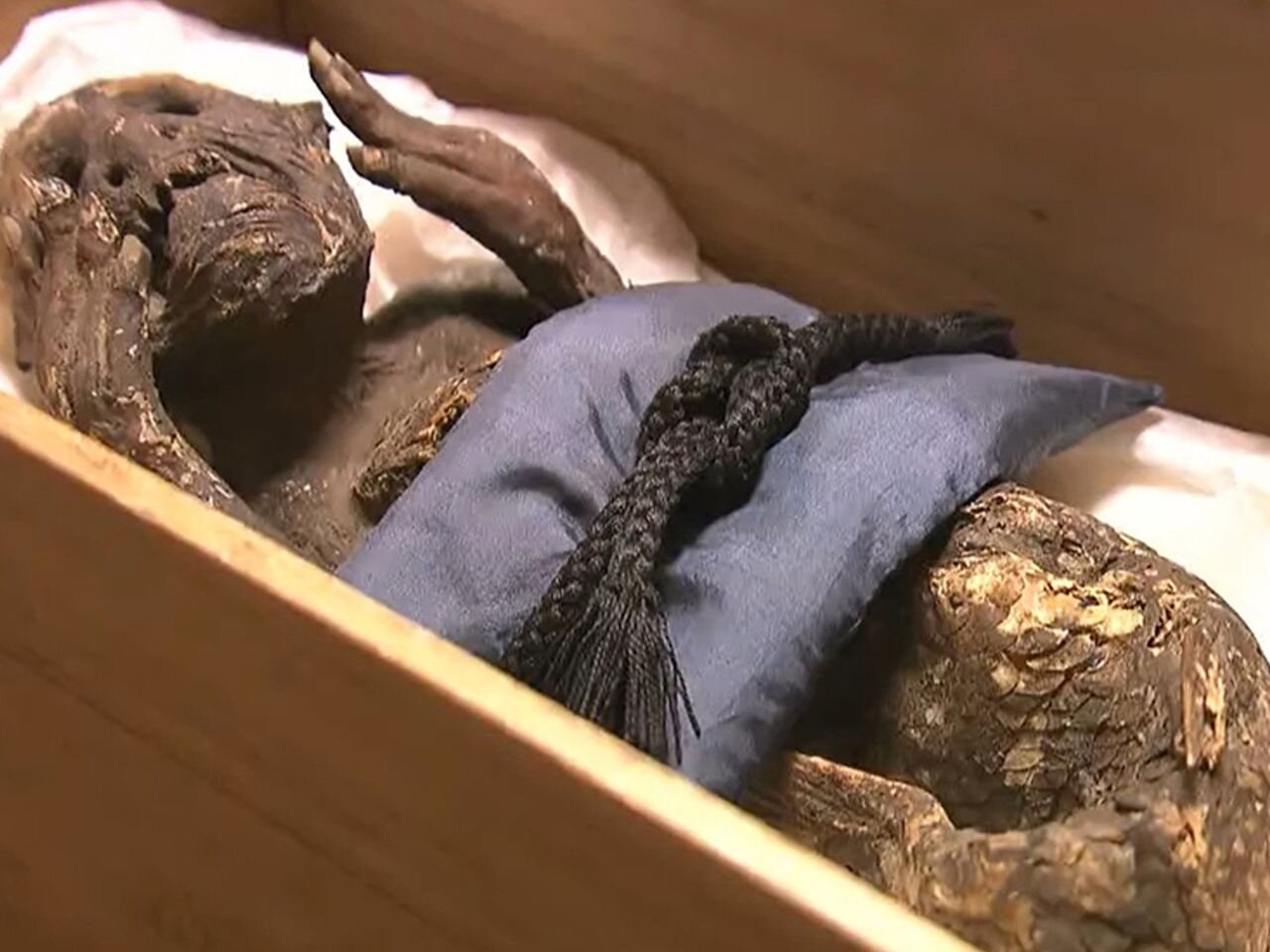 تصاویر | کشف اسرار پری دریایی فیجی | اسکنها حقیقت را فاش میکنند