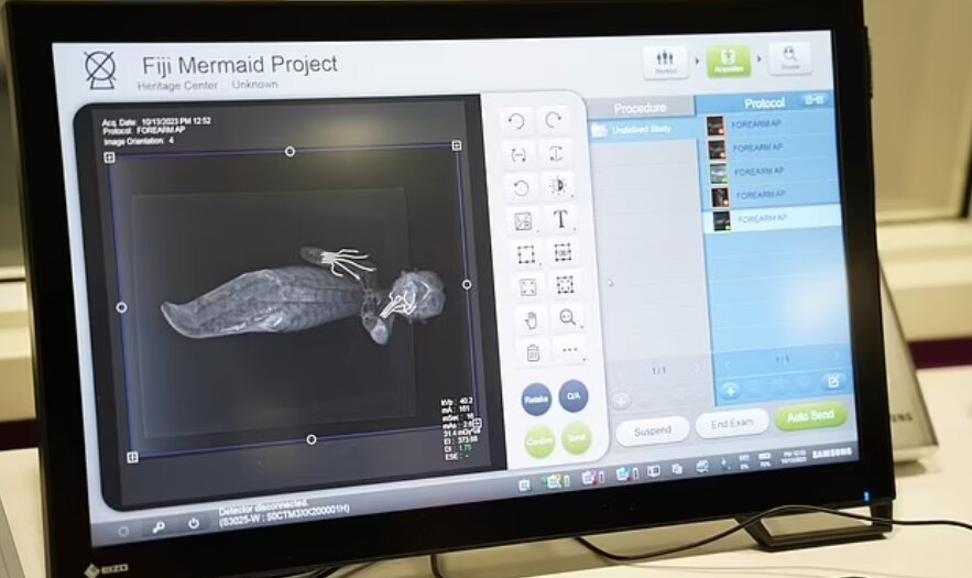 تصاویر | کشف اسرار پری دریایی فیجی | اسکنها حقیقت را فاش میکنند