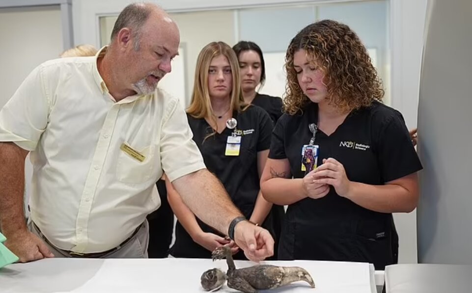 تصاویر | کشف اسرار پری دریایی فیجی | اسکنها حقیقت را فاش میکنند