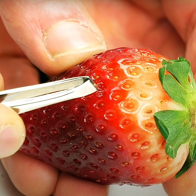 پادشاه فصلها؛ پاییز!