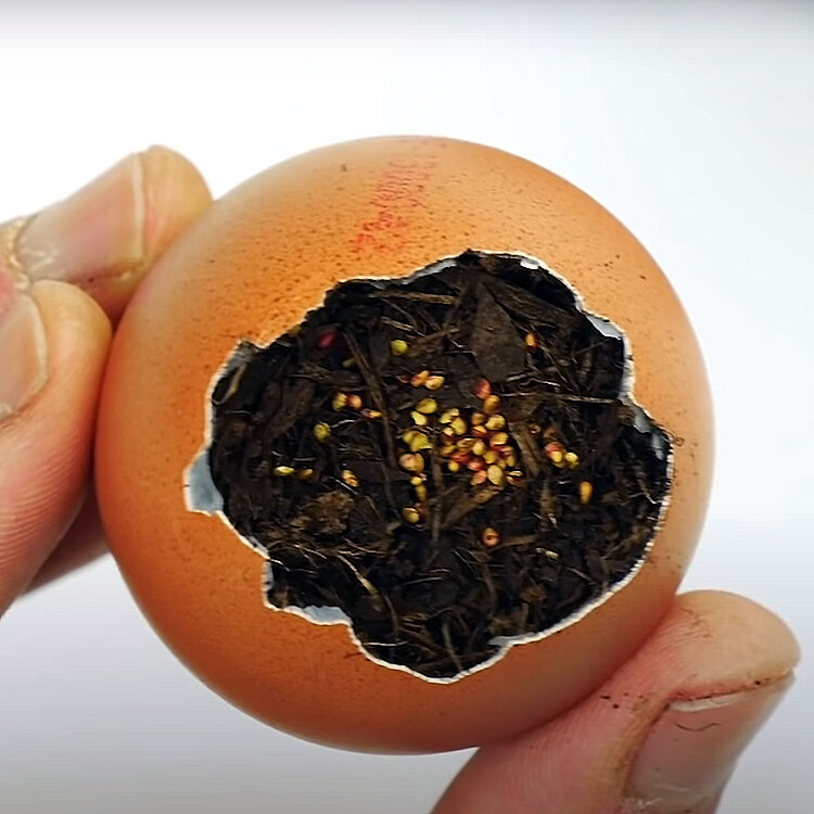 پادشاه فصلها؛ پاییز!