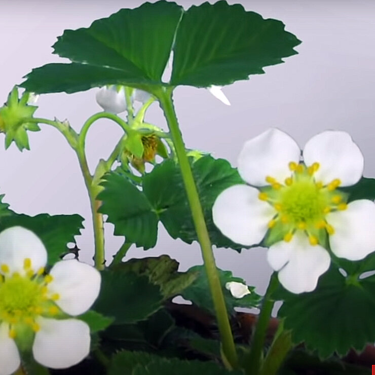 پادشاه فصلها؛ پاییز!