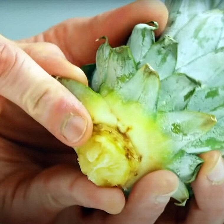 پادشاه فصلها؛ پاییز!