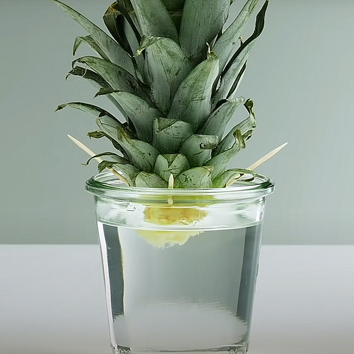 پادشاه فصلها؛ پاییز!