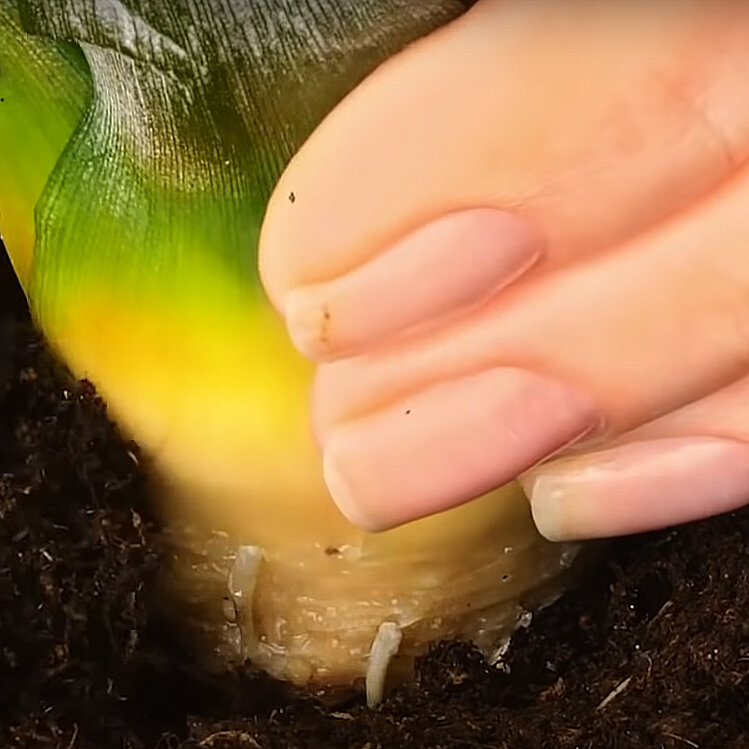 پادشاه فصلها؛ پاییز!