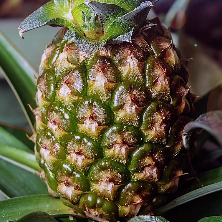 پادشاه فصلها؛ پاییز!