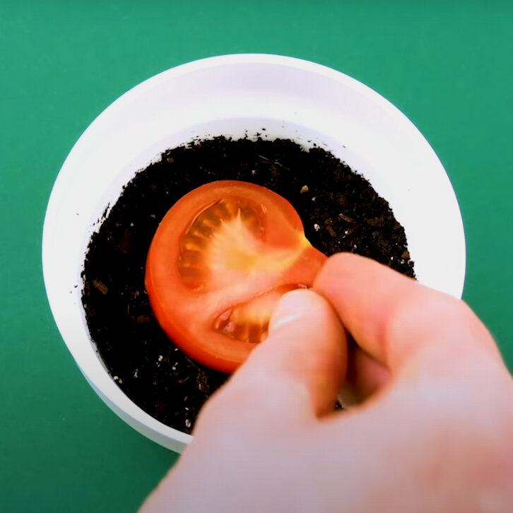 پادشاه فصلها؛ پاییز!